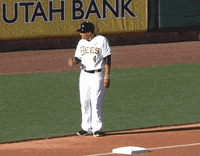 SaltLakeBees baseball thank you bees milb GIF