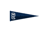 Tech Flag Sticker by FEI