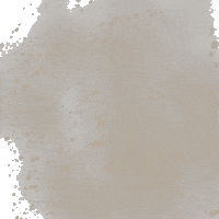 Thejakebecker GIF by Genies