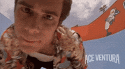 jim carrey alrighty then GIF by Morgan Creek