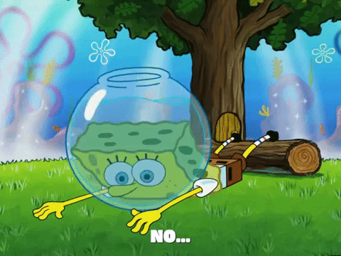 season 5 GIF by SpongeBob SquarePants