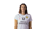 Volleyball Volley Sticker by Millenium Brescia