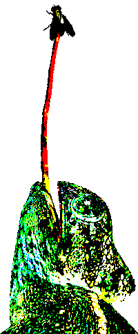 Art Eating Sticker by badblueprints