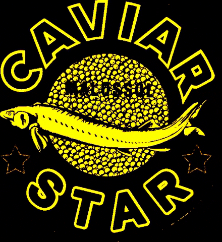 CaviarStar giphygifmaker giphyattribution star stars GIF