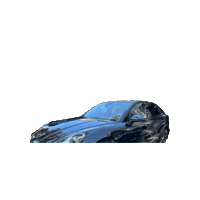 Dl Luxury Garage Sticker by supremeglass