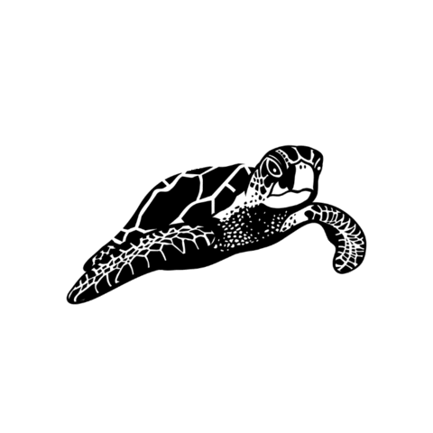 Sticker by Isla Tortuga Divers