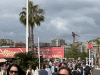 Cannes GIF by Alex Boya