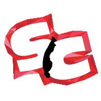 Skydiving Skydive Sticker by Sky Camp