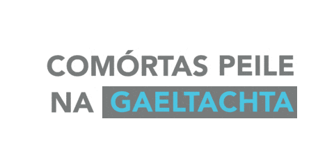 Gaa Lgfa Sticker by TG4TV