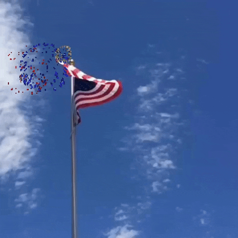 Digital compilation gif. American flag at the top of a flag pole waves in the breeze as digitized patriotic fireworks explode all around it. Text, "Honoring those who served. Thank you for your service! Veterans Day."