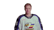 Sticker by Colorado Eagles