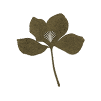 Anda Ba Flower Sticker by anda_ba