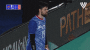 Power Yes GIF by Volleyball World