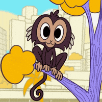 brunocromia bh belo horizonte penca penca no parque GIF