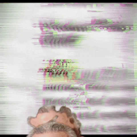 Chuck Schumer Democrat GIF by Respective