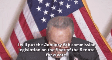 Chuck Schumer January 6Th GIF by GIPHY News