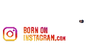 Instaboi Sticker by BORN ON INSTAGRAM