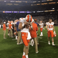 Tigers Clemson GIF by ACC Network
