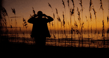 Julie Dash GIF by Coolidge Corner Theatre