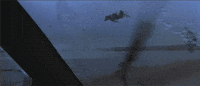facts tube GIF