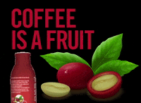 The Other Side Coffee GIF by TOSOC