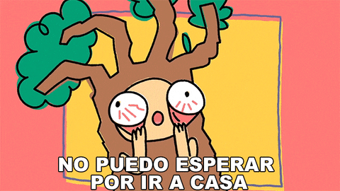 GIF by CNLA