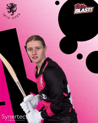 Ball Hit GIF by Somerset County Cricket Club