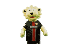 soccer Sticker by Bayer 04 Leverkusen