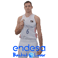 Vamos Real Madrid Baloncesto Sticker by Endesa Basket Lover