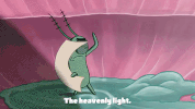 season 9 episode 25 GIF by SpongeBob SquarePants
