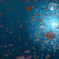 the deep GIF