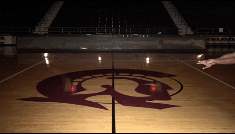 Littlerockwbb GIF by Little Rock Athletics