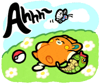 Happy Summer GIF by Pokémon