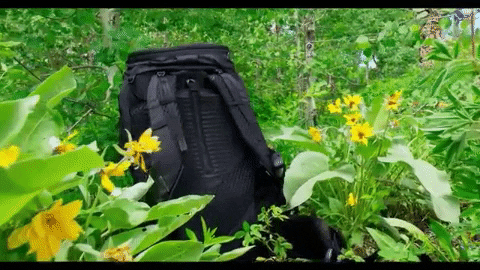 dpreview giphygifmaker GIF