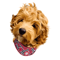 dog puppy Sticker by Izzy + Otis