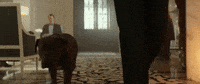 john wick dog GIF by John Wick: Chapter 2