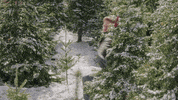 Christmas Holiday GIF by Hallmark Channel