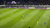 Afc Taj GIF