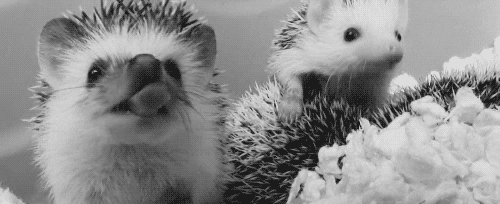 tired black and white GIF