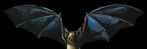 willleskridge halloween horror flying vampire GIF