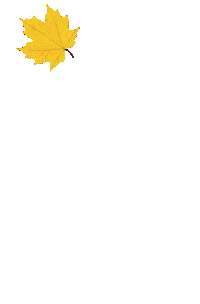 Fall Autumn Sticker
