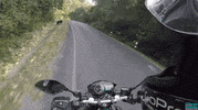 GIF by Mashable