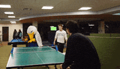 Ping Pong Gulls GIF by Endicott College