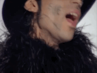 prince the same december GIF