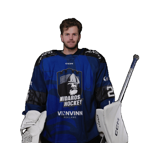 Sport Celebration Sticker by Nidaros Hockey