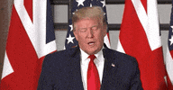 donald trump theresa may uk state visit 2019 GIF