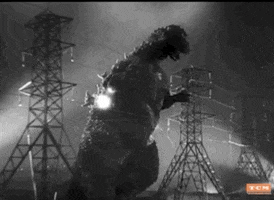King Of The Monsters Godzilla GIF by Turner Classic Movies
