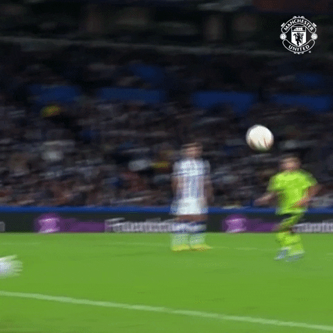 Save Europa League GIF by Manchester United