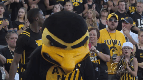 University Of Iowa Football GIF by University of Iowa Hawkeyes Athletics