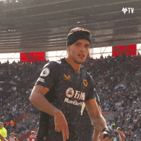 Premier League Football GIF by Wolves